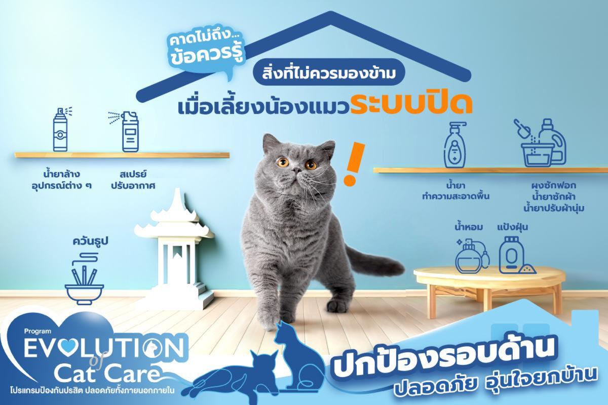 คาดไม่ถึง….ข้อควรรู้ ! สิ่งที่ไม่ควรมองข้าม ! เมื่อเลี้ยงน้องแมวระบบปิด