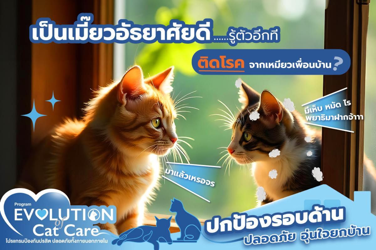 เป็นเมี๊ยวอัธยาศัยดี…รู้ตัวอีกทีติดโรคจากเมี๊ยวเพื่อนบ้าน? 😰