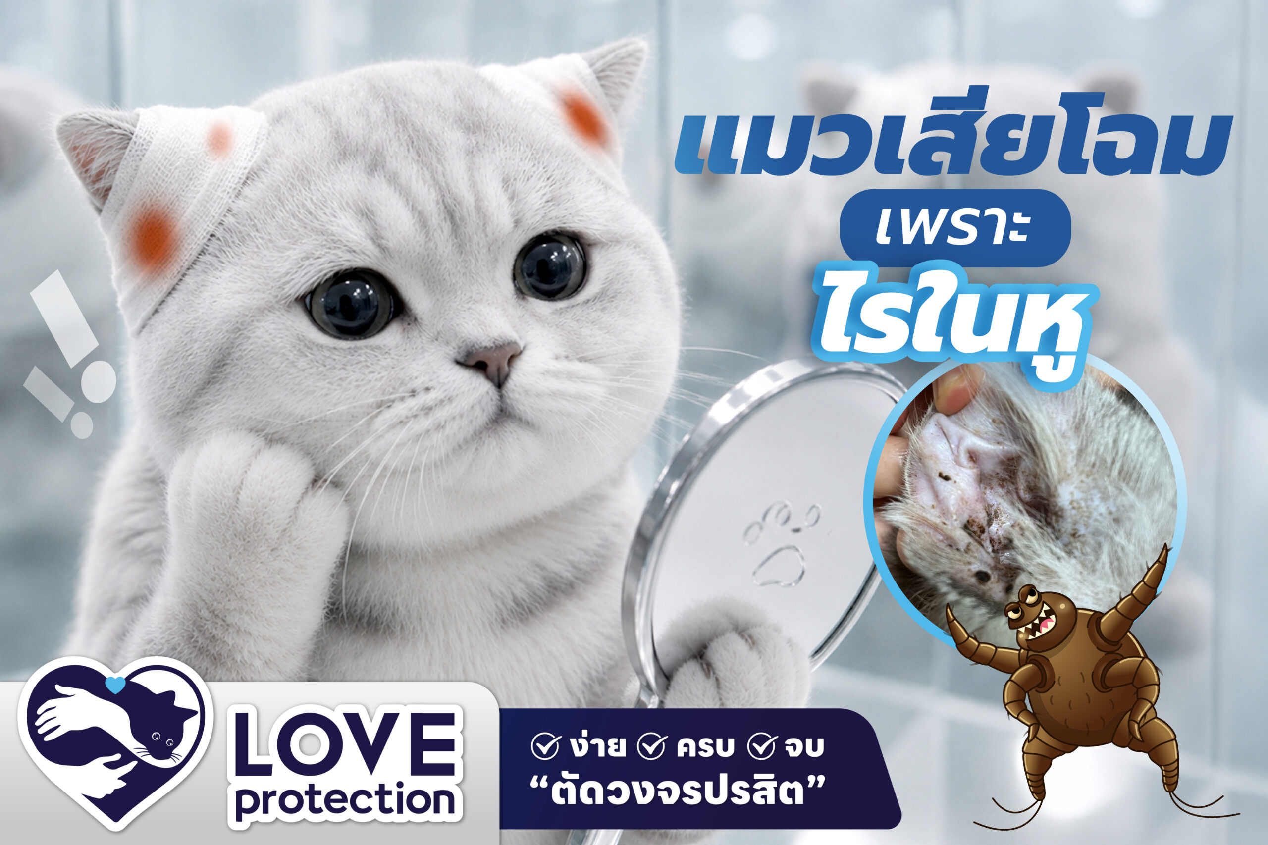 แมวเสียโฉม เพราะ “ไรในหู” !