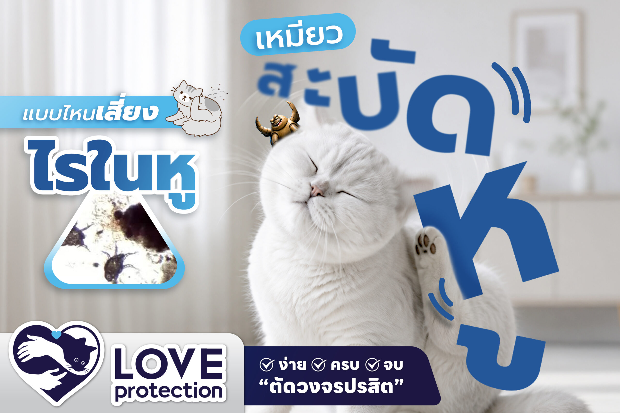 จับพิรุธ ปรสิตตัวร้าย ! เหมียวสะบัดหูแบบไหน… เสี่ยง “ไรในหู” ?