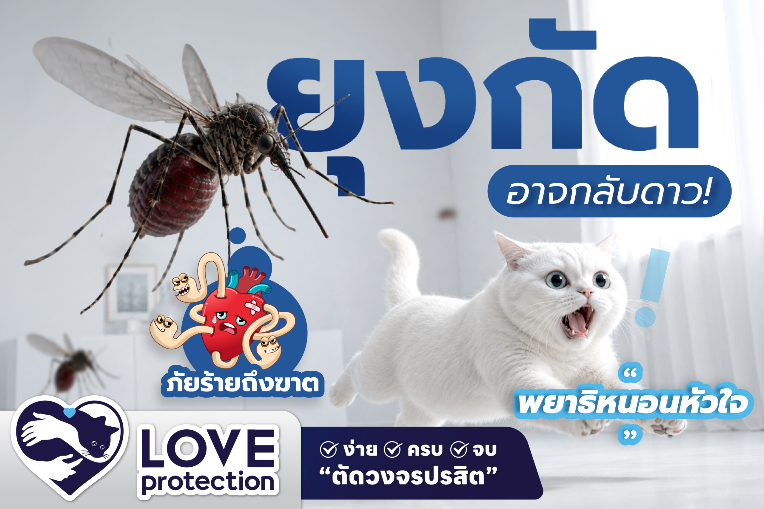 ยุงกัด ถึงกับ กลับดาว ! “พยาธิหนอนหัวใจ” ภัยร้ายถึงตายในน้องเหมียว !