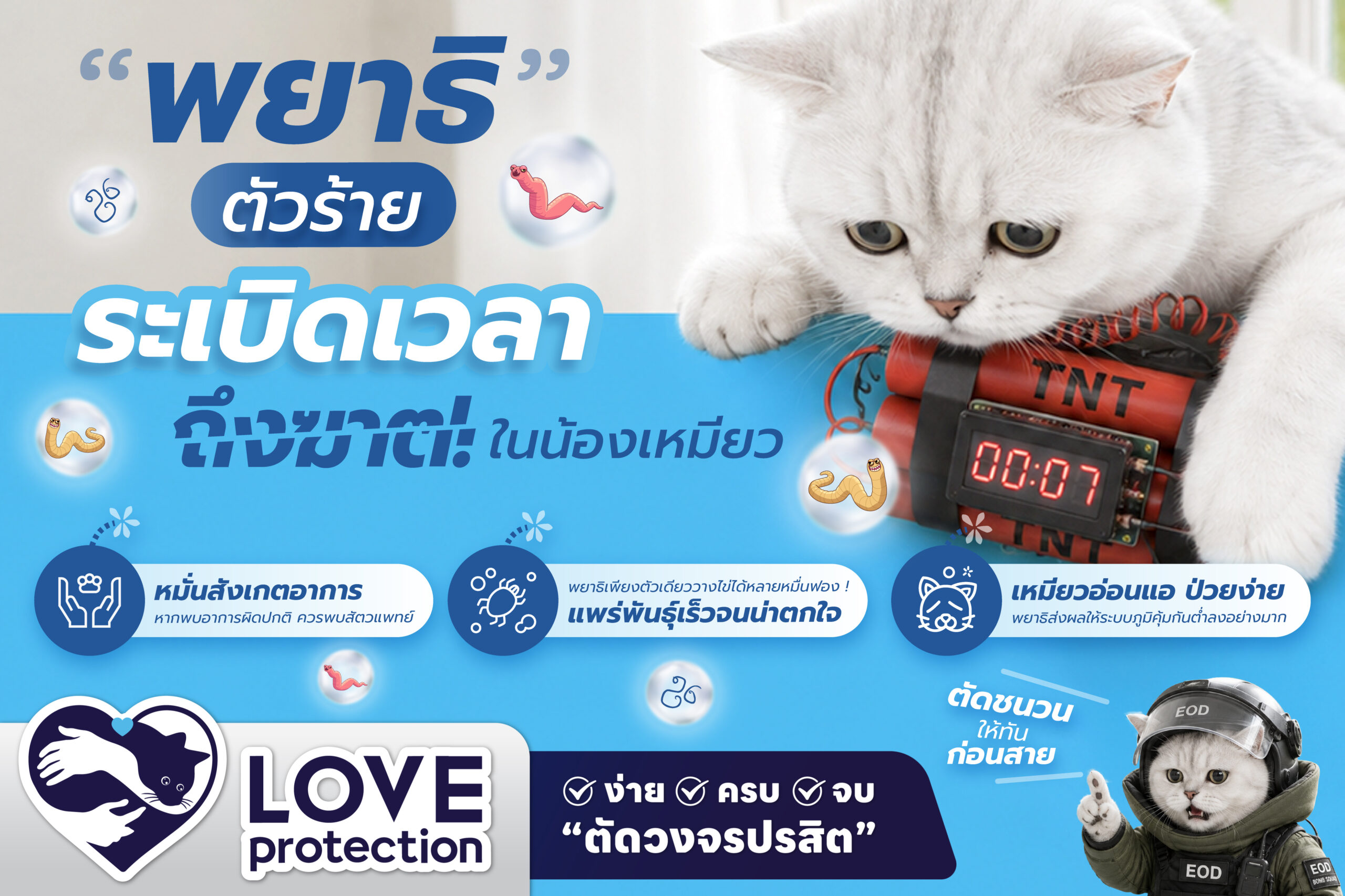 “พยาธิตัวร้าย” ระเบิดเวลาถึงตายในน้องเหมียว !