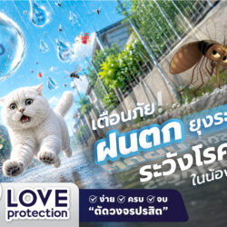 07 เตือนภัยฝนตก 800x1200 scaled