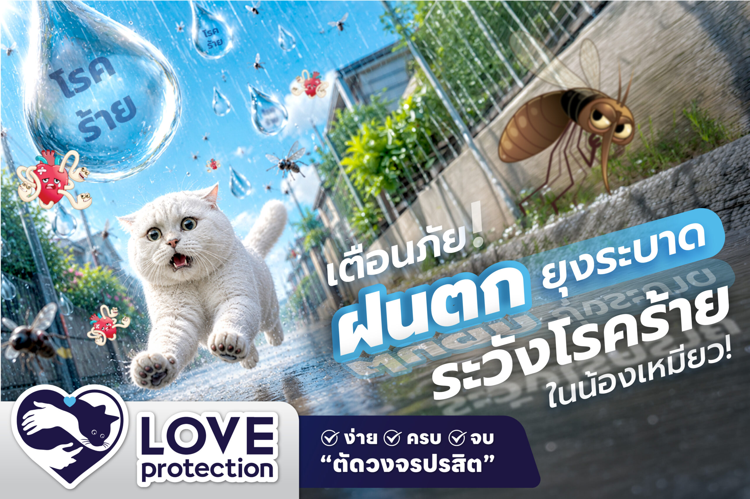 เตือนภัยฝนตก ยุงระบาด ระวังโรคร้ายในน้องเหมียว !