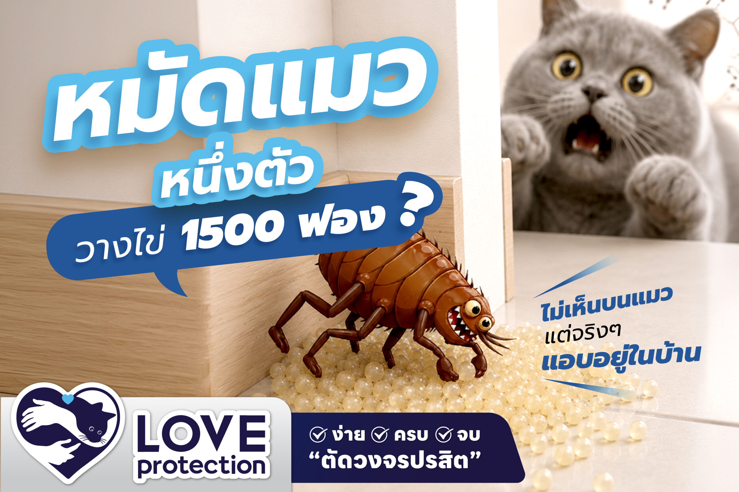 ความลับสุดหลอนของหมัดแมว ! หมัดแมวตัวเดียว วางไข่ได้หลายพันฟอง ! ปล่อยไว้คืนเดียว…บ้านกลายเป็นรังหมัด