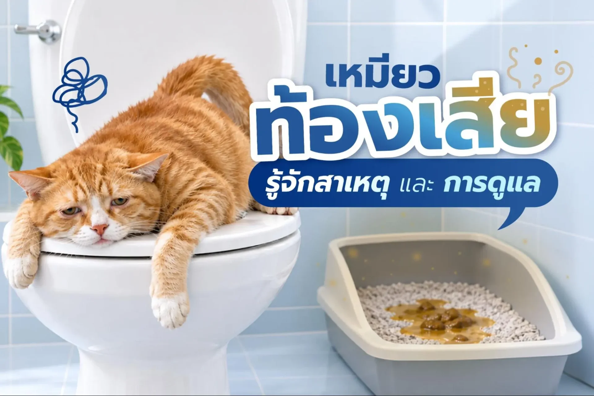แมวท้องเสีย